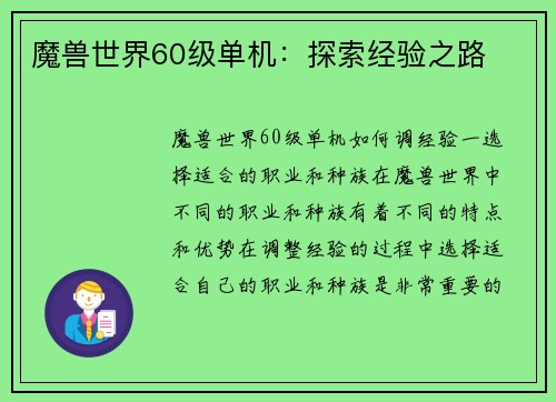 魔兽世界60级单机：探索经验之路